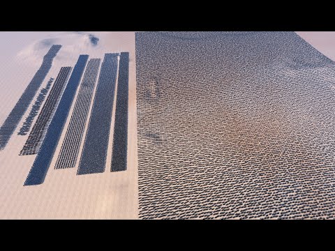 Can Ancient Soldier Team Stop 25,000 Wolves - Ultimate Epic Battle Simulator