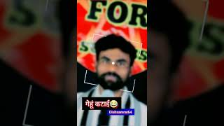 Download lagu gehun katai funny video || comedy status #virlshort new WhatsApp status Dixitsamrat64 mp3 Download lagu gehun katai funny video || comedy status #virlshort new WhatsApp status Dixitsamrat64 mp3