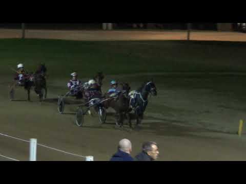 2018 Indiana Breeders Stakes 3yo Colt Pace 2nd Heat