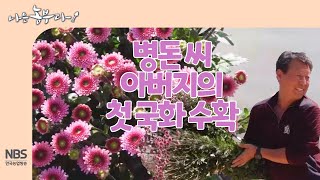 [나는농부다 245회] 병돈 씨 아버지의 첫 국화 수확