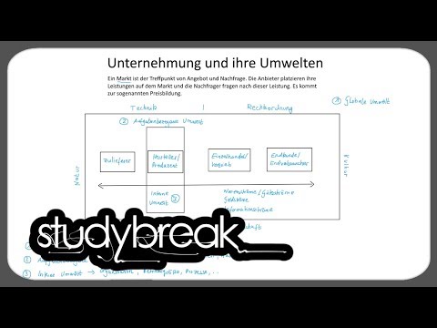 Unternehmung und ihre Umwelten | Marketing