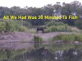 Video Thumbnail for All We Had Was 30 Minutes To Fish