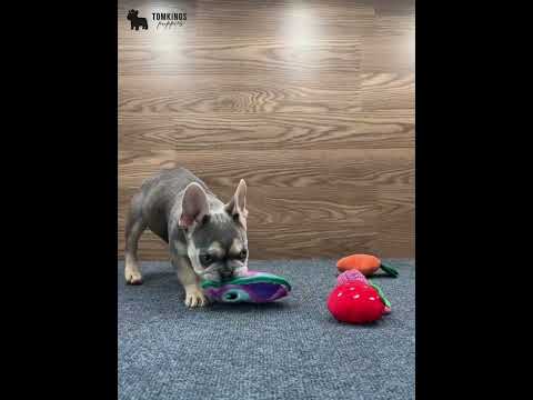 Video 1