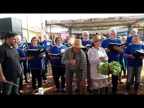 CORAL NOVOS HORIZONTES - MUSICA - O COLONO