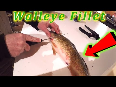 How To Fillet / Clean A Walleye Fish / Quick AND EASY / No Waste