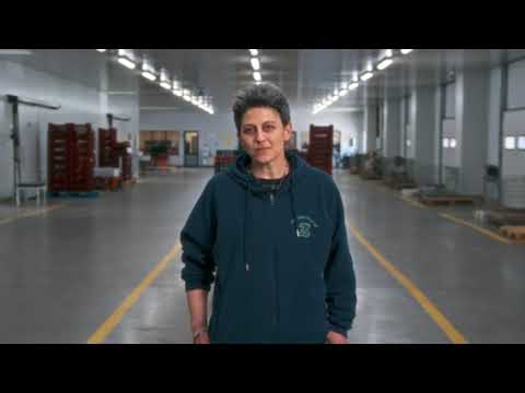 Logistic center Zagora group presentation