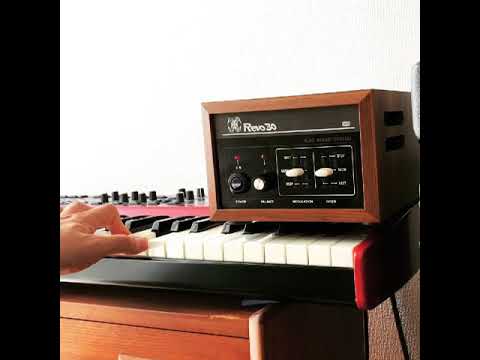 Roland Revo 30 Leslie Simulator | Reverb