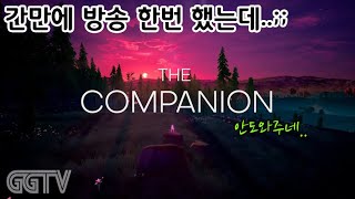 5월14일 방송 'The Companion' Gameplay ㅣG곤드래의 GGTV