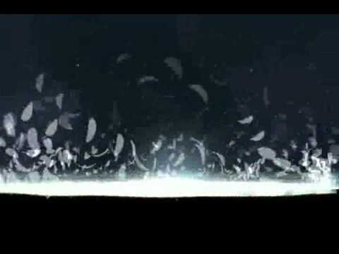 Birth by Sleep, English cutscene 178 - Return of the Broken Heart