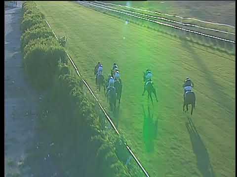 Galoppo 16/08/2017 - 4ª corsa