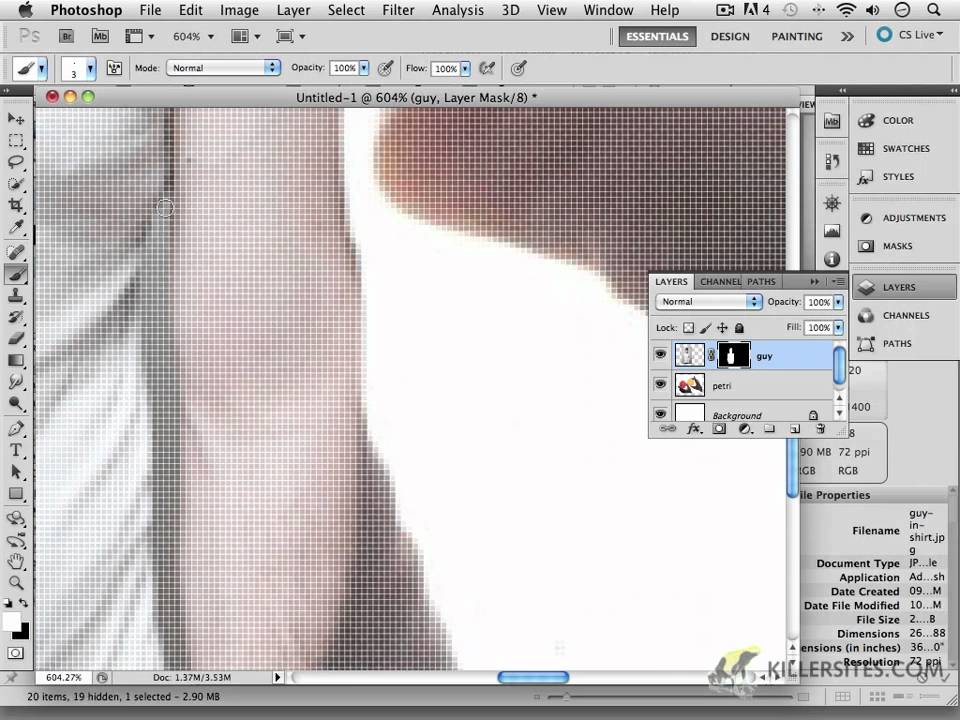 Selections and Masking Magic in Photoshop CS5