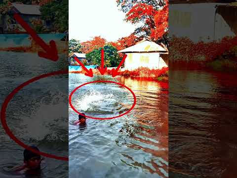 what a talent  😱👑 #lastoneyt #duet #shortvideos #shorts #foryou #viral