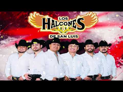Mix LOS HALCONES DE SAN LUIS 2025 💛💛💛  puras Norteñas viejitas