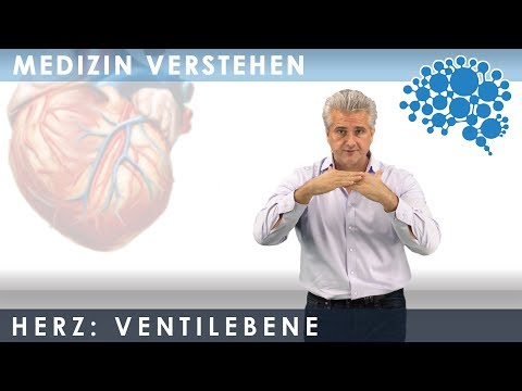 Füllung der Herzkammer - Superanschaulich │Dr. Dr. Damir del Monte│Encephalon Medizin-Videos