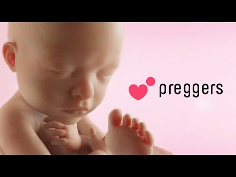 Preggers: Pregnancy & Baby App Video