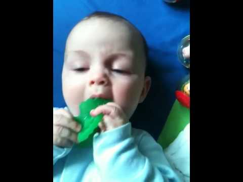 20100519: blueberrry teether