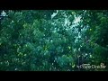 Unni Nee Kannumo Sing Unni