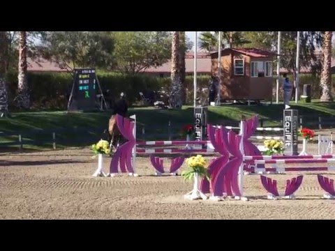 Daphne RC 5Yr Qualifier Thermal 2016 week4 - Rancho Corazon - BDN Sport Horses