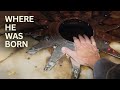 Touching The Birthplace Of Jesus Christmas In Bethlehem