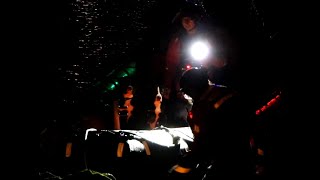 Two Dogs Rescued in False Creek