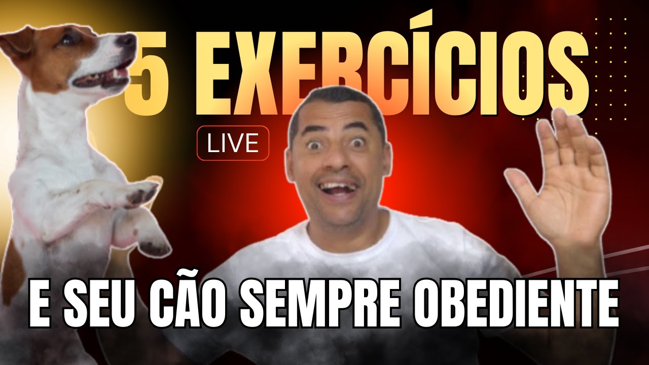 5 EXERCÍCIOS PARA TER SEU CÃO SEMPRE OBEDIENTE