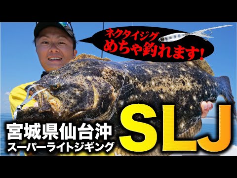 取材動画サムネイル 7
