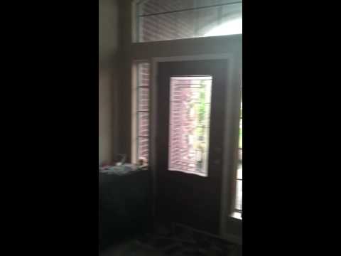 Regina's Surprise Party