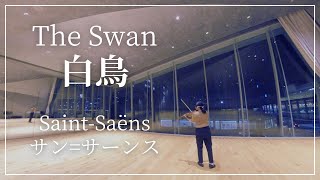 Download lagu サン＝サーンス『白鳥』バイオリン演奏  - Kana Violin Play -【Saint-Saens / The Swan】 mp3