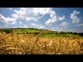 Jelena Tomašević - Oro (Instrumental verzija) HQ ...