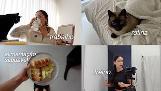 24h produtivas na minha vida | updates & vlog