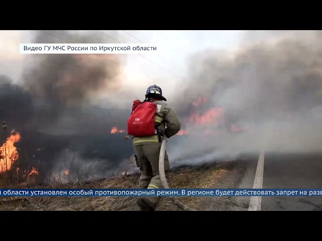 Особый противопожарный режим начнет действовать с 1 мая