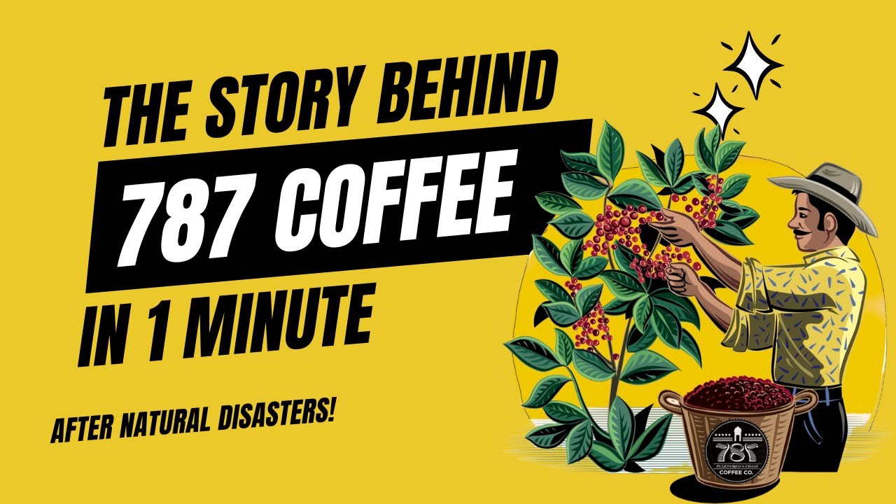 787 Coffee: A Story of Resilience, Passion, and Truth | From Farm to Cup