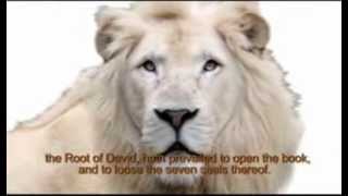 Prince Obasi-ike - Lion of Judah (Official Video)