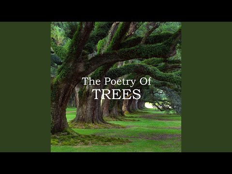 Video thumbnail for Madison Julius Cawein - A Fallen Beech