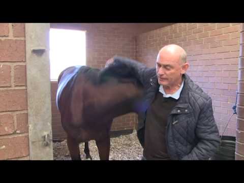 LOUIS THE KING FOUND US, YORKER TOO   Computer