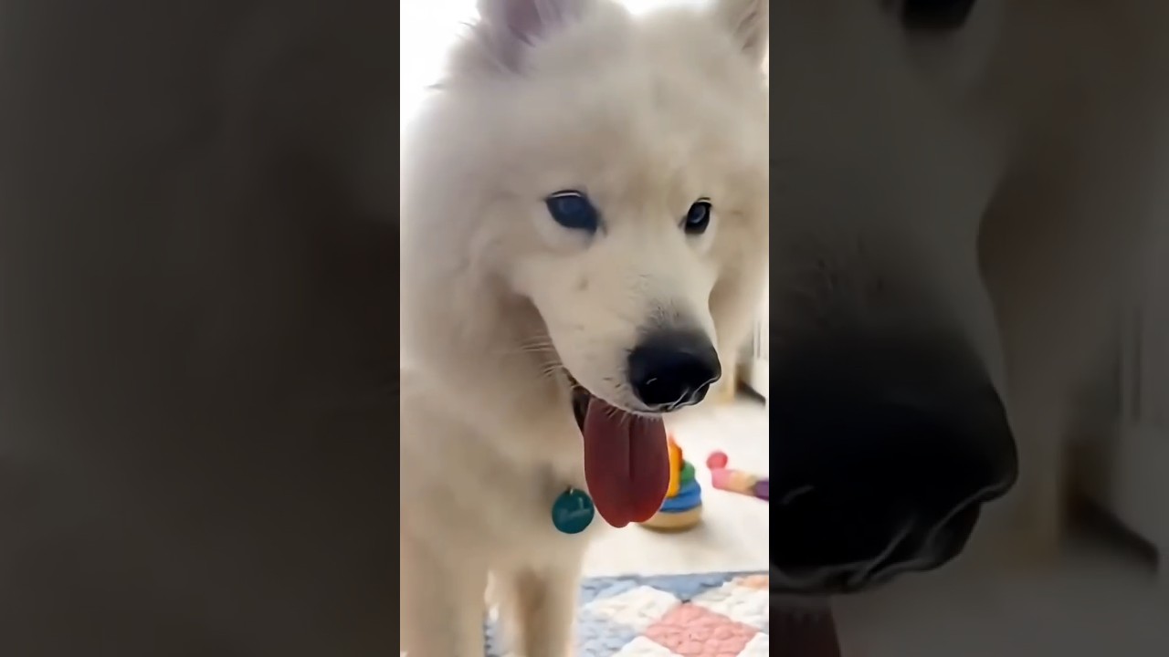 Precious Memories Gentle Giants & Baby #shorts