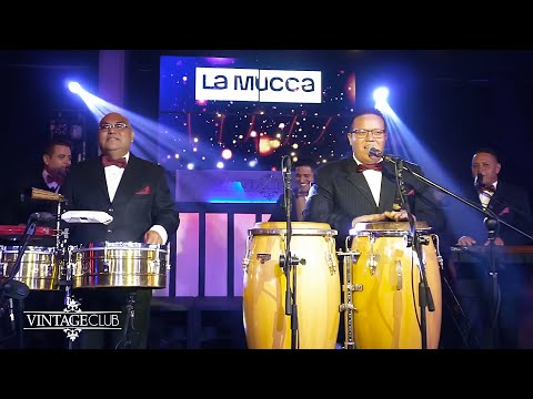 Tributo a Los Blanco con Retro Blanco Orquesta (Visualizer) | #VintageClubPF