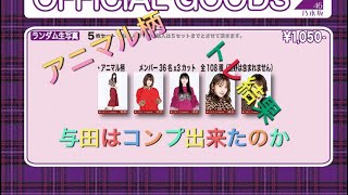 アニマル柄トレ結果果たしてコンプいくつ作れたか