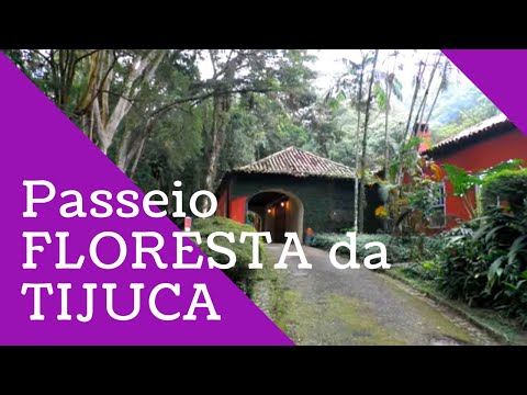 PASSEIO NA FLORESTA DA TIJUCA