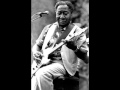 Rory Gallagher feat. Muddy Waters - Young Fashioned Ways