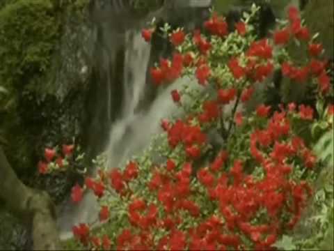 reshmi roy chowdhury dil hain ke manta nahin