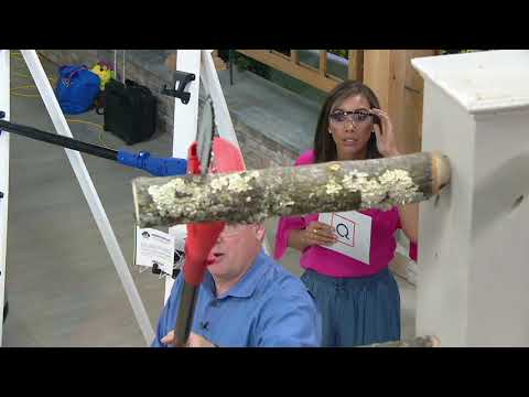 Sun Joe 8" Telescoping Electric Pole Saw on QVC