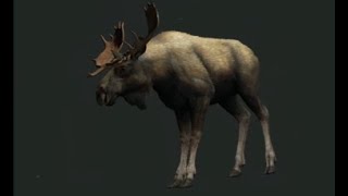 Quick And Easy / The Hunter: Call Of The Wild / First Play Thru / Part 80