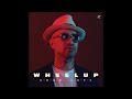 WheelUP Ft Abacus Infinity We Are The Magic Chill Out Deep House 2023