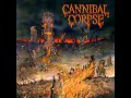 The Best Death Metal 2014 New Releases Part 1