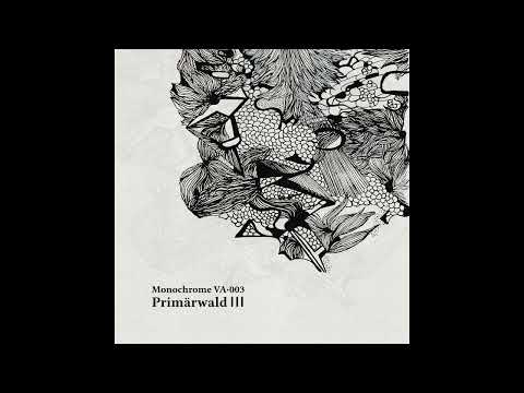 ✧ Aerae ✧ Disperdo [MCR05]