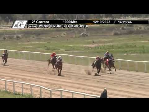 SINT COLONIA  231012 c02 - 1° SUMMER VOODO