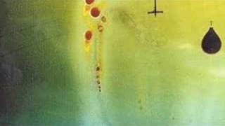 modest mouse polar opposites