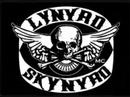 Lynyrd Skynyrd - Don't ask me no questions 
