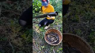 Download lagu Jebakan belut tradisional #mancing #mancingmania #fishingvideo mp3 Download lagu Jebakan belut tradisional #mancing #mancingmania #fishingvideo mp3